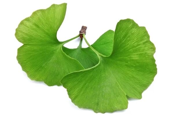 OstyHealth ginkgo biloba içerir