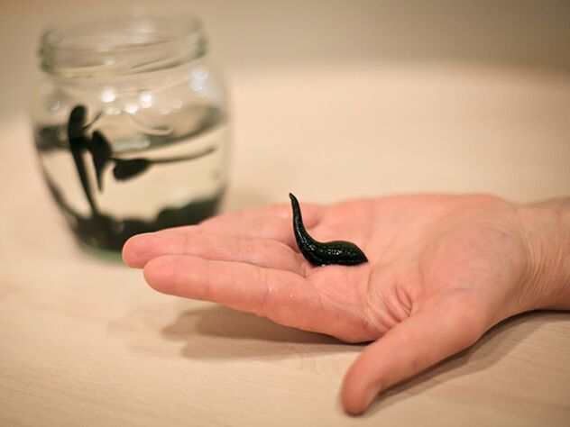 diz eklemi artrozunun tedavisi için başvuru